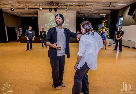 Danse – Galeries intégrales